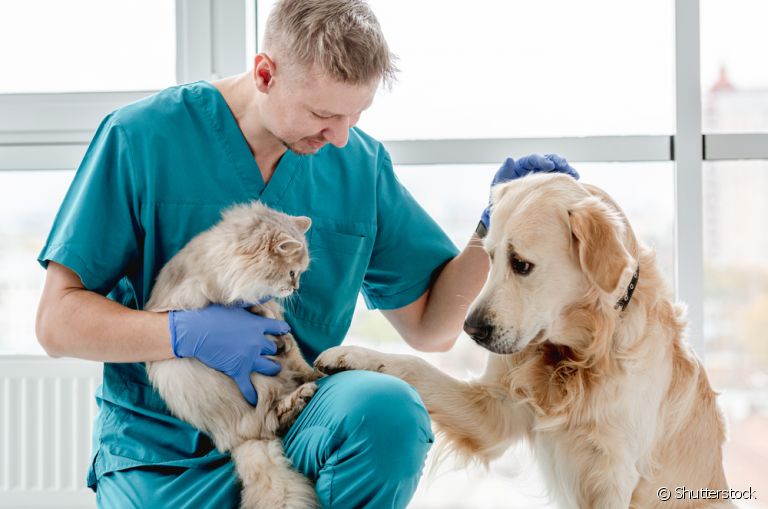 VETERINARIAS